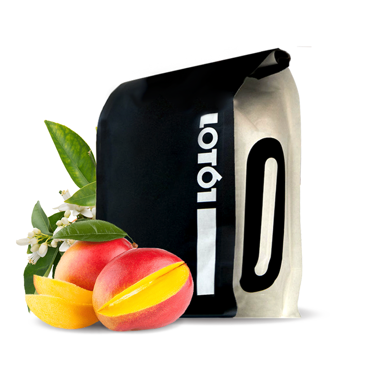 Specialty coffee LOT61 Ethiopia ARICHA ADORSI