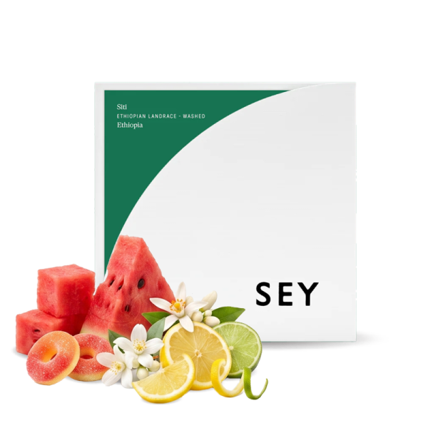 Specialty coffee Sey Coffee Ethiopia SITI