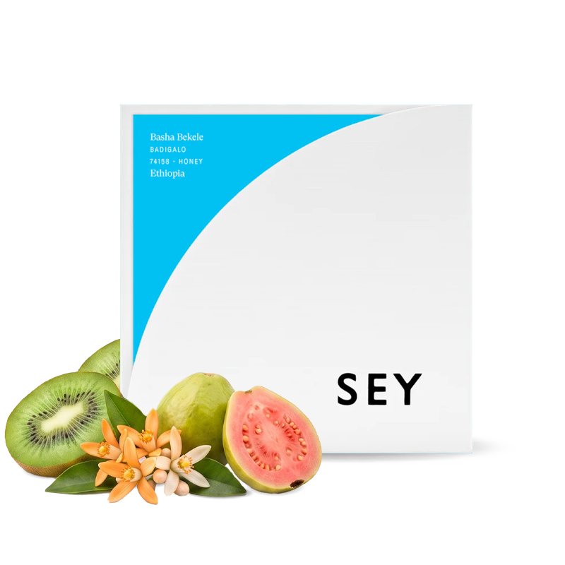 Specialty coffee Sey Coffee Ethiopia BASHA BEKELE