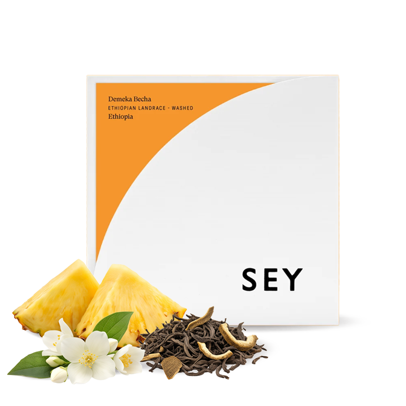 Specialty coffee Sey Coffee Ethiopia DEMEKA BECHA