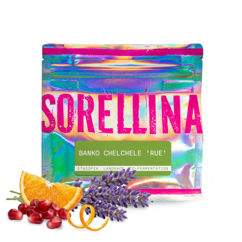 Ethiopia BANKO CHELCHELE  - Sorellina Coffee