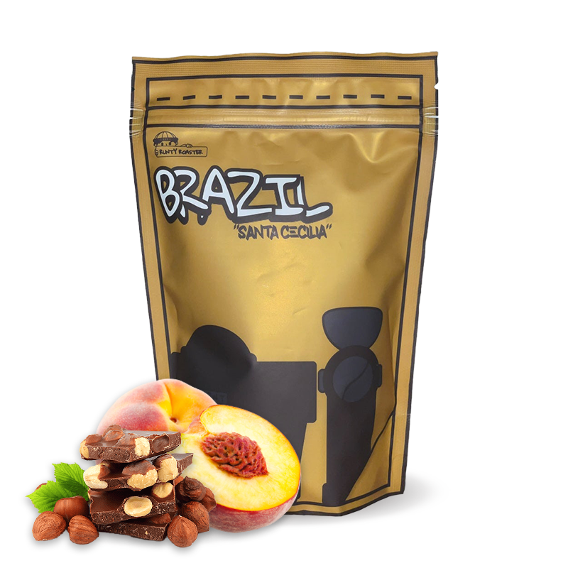 Specialty coffee Runty Roaster Brazil SANTA CECILIA