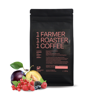 Kenya NGARIAMA - Sustainable Profile - April Coffee Roasters