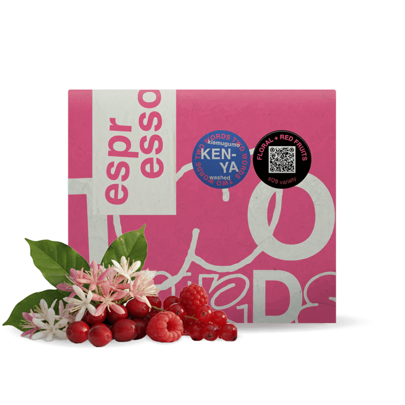 Specialty coffee Two Words Coffee Kenya KIAMUGUMO - espresso