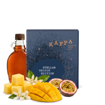 Panama GEISHA NINETY PLUS STELLAR ORIGIN - 150g - Kaffa