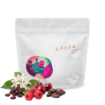 Costa Rica CATAJO GEISHA - 200g - Kaffa