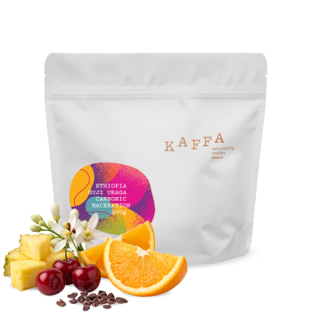 Ethiopia GUJI URAGA - Kaffa