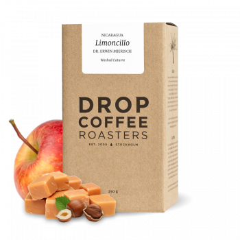 Nicaragua LIMONCILLO - Drop Coffee Roasters