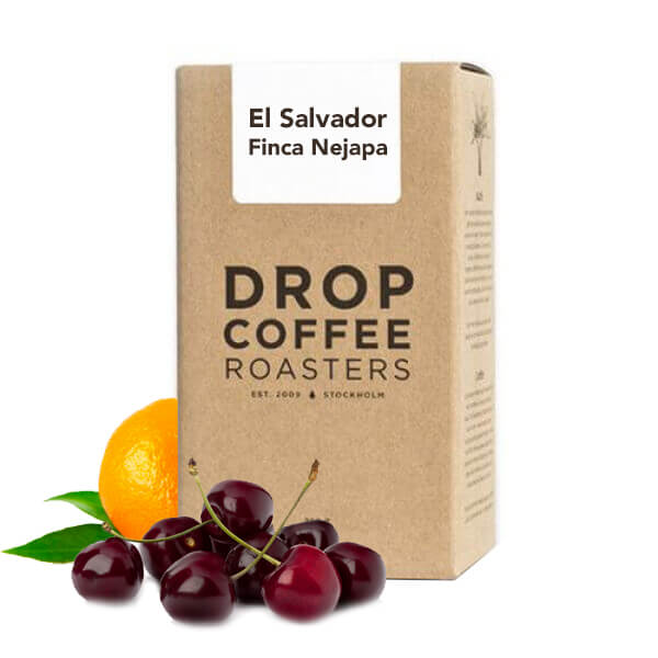Specialty coffee Drop Coffee Roasters El Salvador FINCA NEJAPA - Pacamara