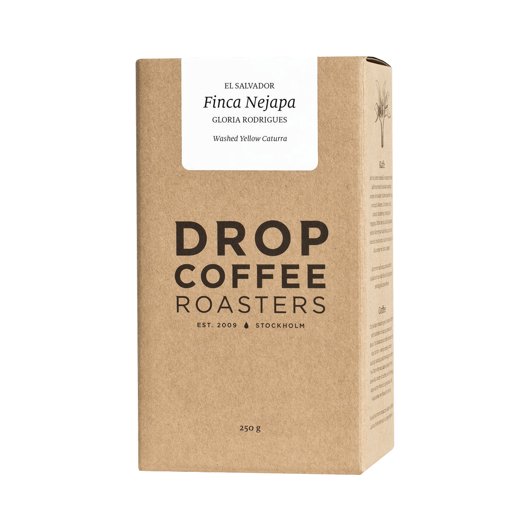 Specialty coffee Drop Coffee Roasters El Salvador FINCA NEJAPA - yellow caturra