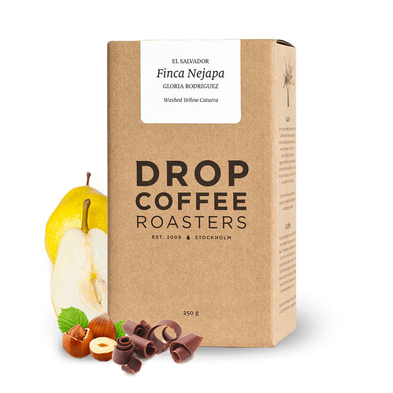 Specialty coffee Drop Coffee Roasters El Salvador FINCA NEJAPA