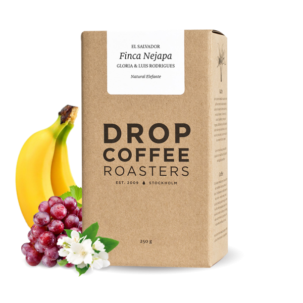 Specialty coffee Drop Coffee Roasters El Salvador FINCA NEJAPA - natural elephant