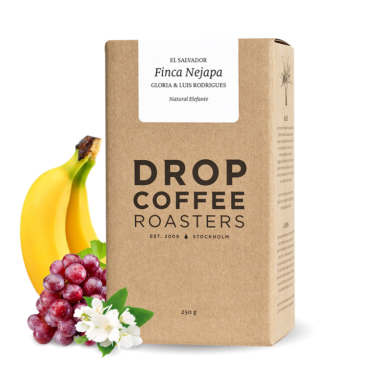 Specialty coffee Drop Coffee Roasters El Salvador FINCA NEJAPA - natural elephant