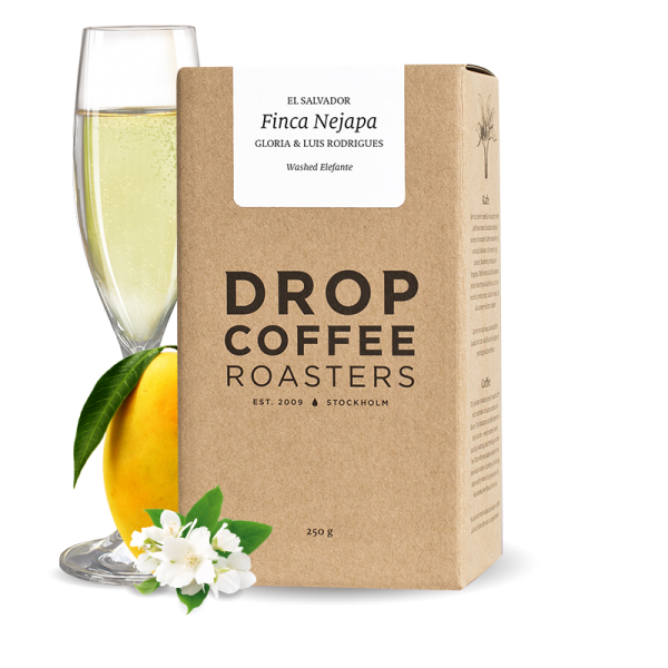 Specialty coffee Drop Coffee Roasters El Salvador FINCA NEJAPA - elephant wash