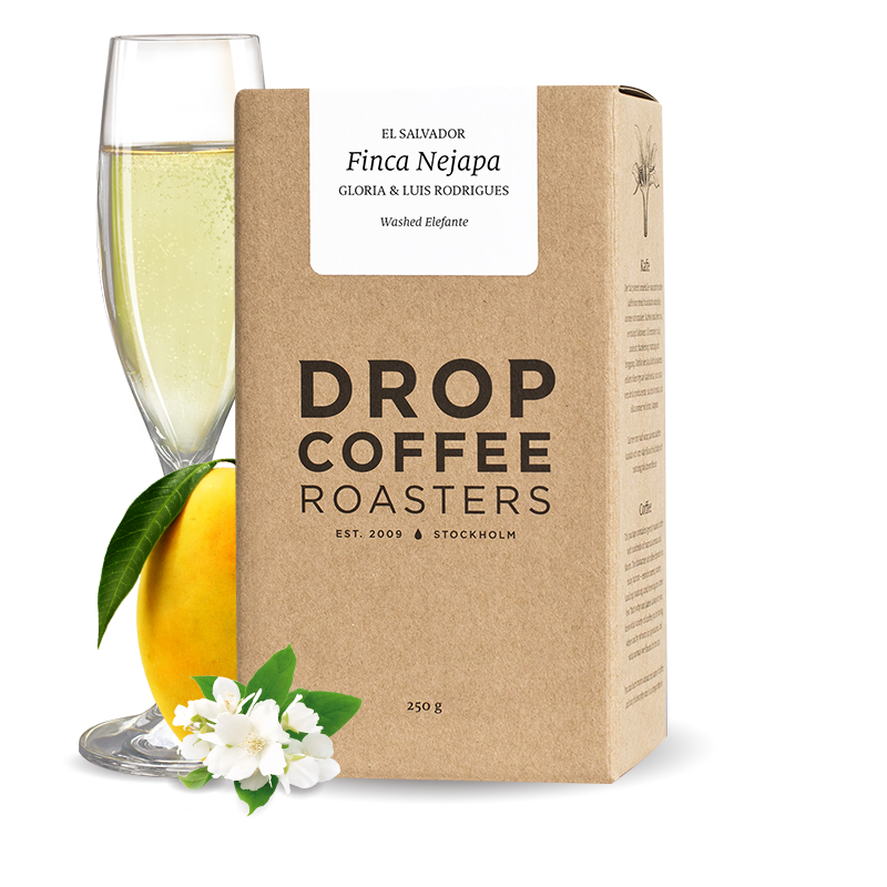 Specialty coffee Drop Coffee Roasters El Salvador FINCA NEJAPA - elephant wash