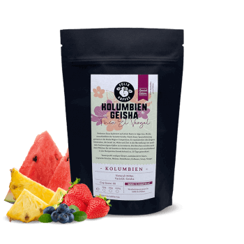 Colombia GEISHA EL VERGEL - Felix Kaffe