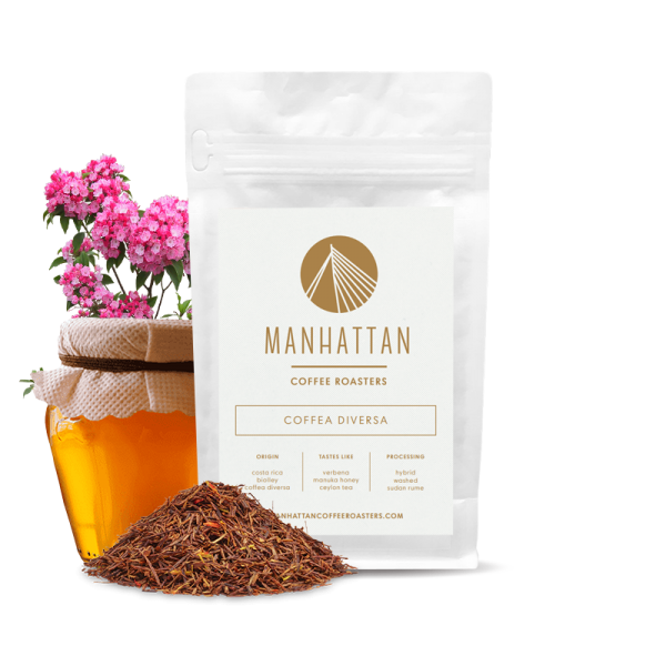 Specialty coffee Manhattan Coffee Roasters Costa Rica COFFEA DIVERSA - sudan rume