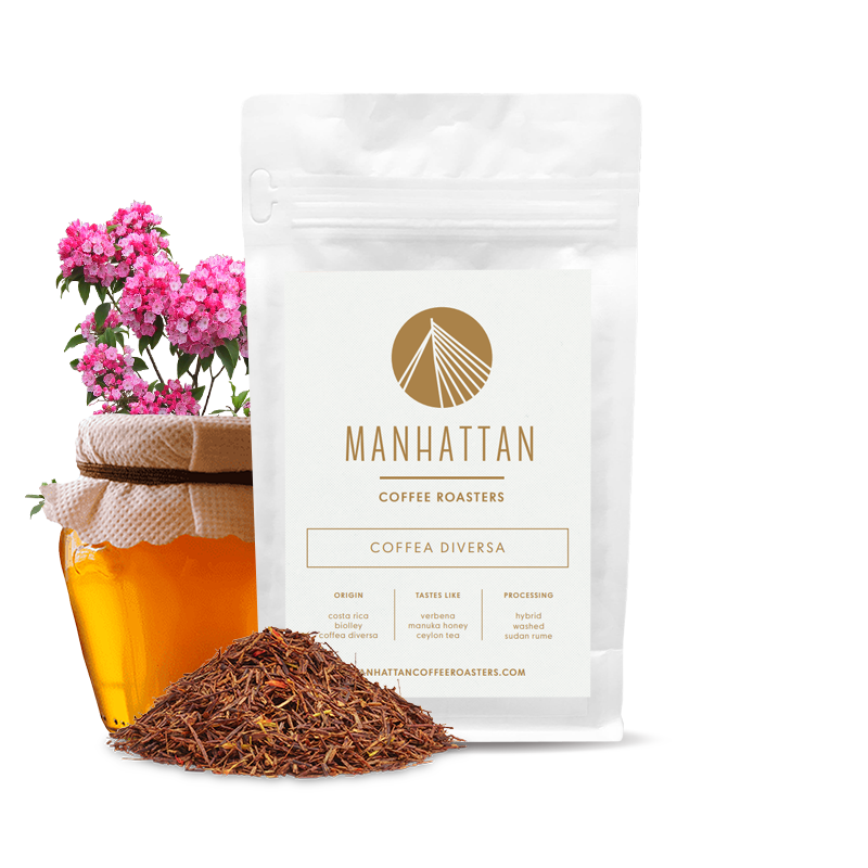 Specialty coffee Manhattan Coffee Roasters Costa Rica COFFEA DIVERSA - sudan rume