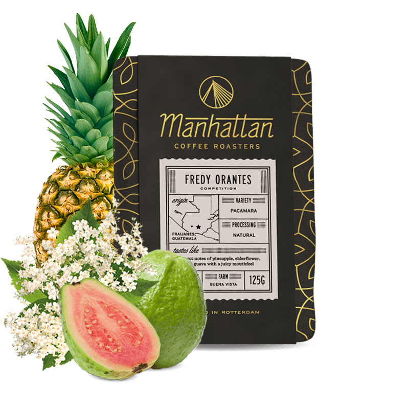 Specialty coffee Manhattan Coffee Roasters Guatemala FREDY ORANTES - 125g