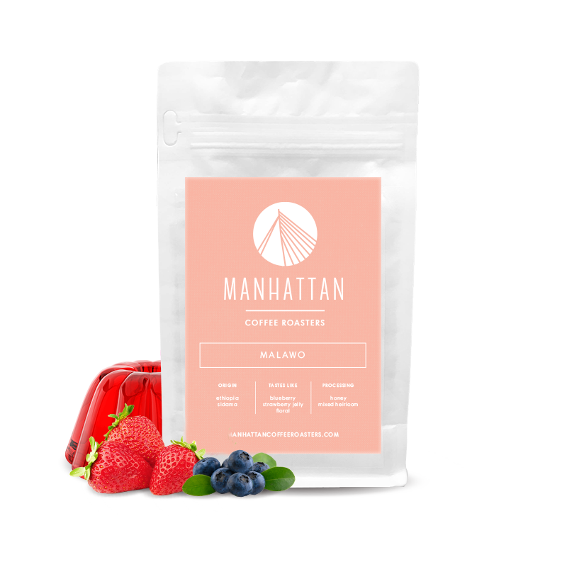 Specialty coffee Manhattan Coffee Roasters Ethiopia MALAWO