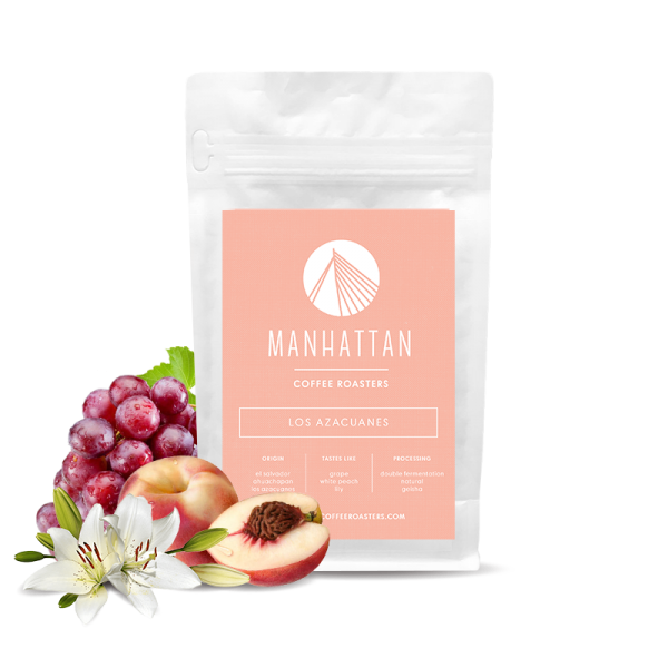 Specialty coffee Manhattan Coffee Roasters El Salvador LOS AZACUANES