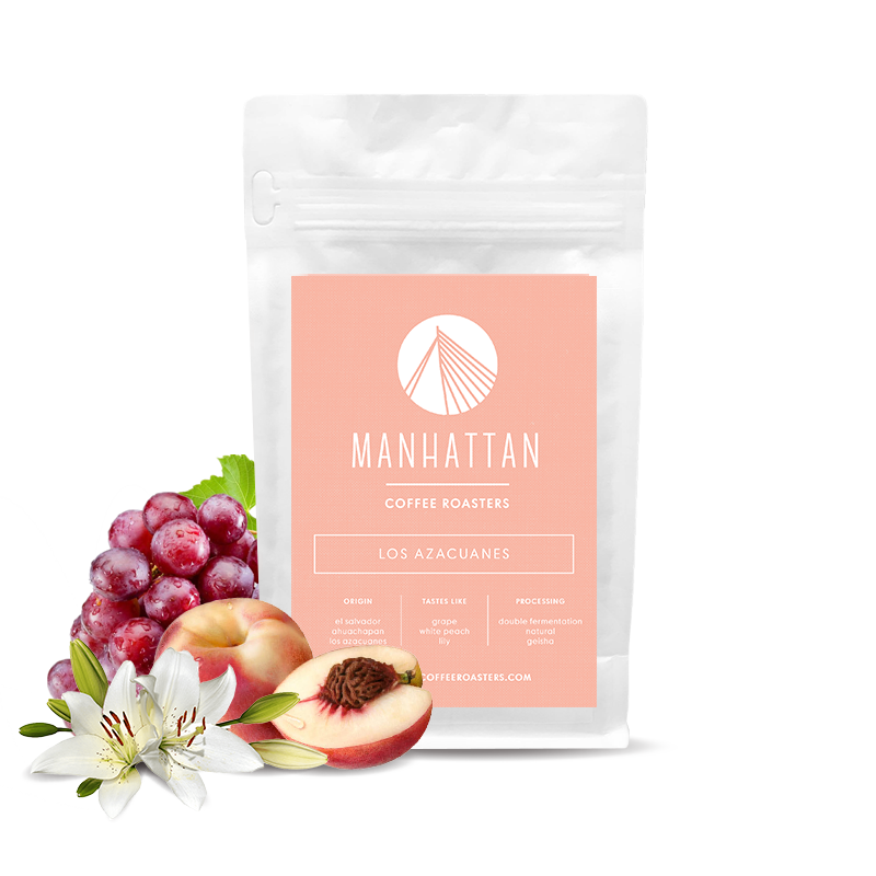 Specialty coffee Manhattan Coffee Roasters El Salvador LOS AZACUANES