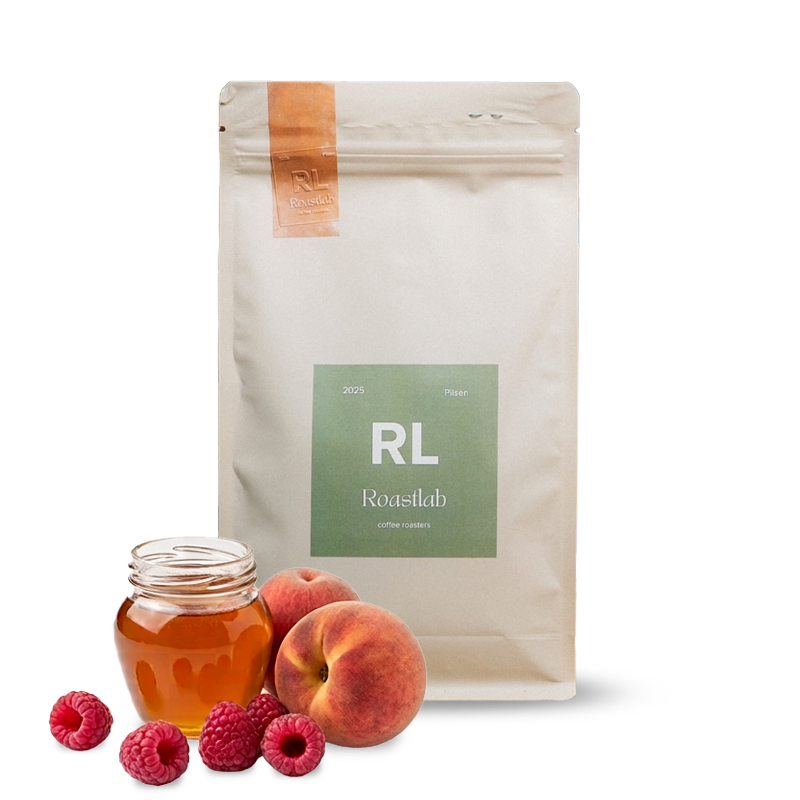 Specialty coffee Roastlab coffee roasters Costa Rica HERMOSA