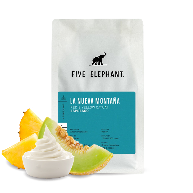 Specialty coffee Five Elephant Guatemala LA NUEVA MONTAŃA