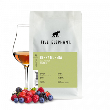 Colombia BERRY MORERA - Five Elephant