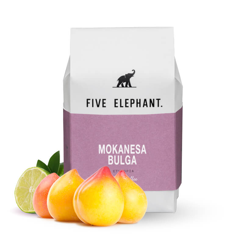 Specialty coffee Five Elephant Etiopie MOKANESA BULGA