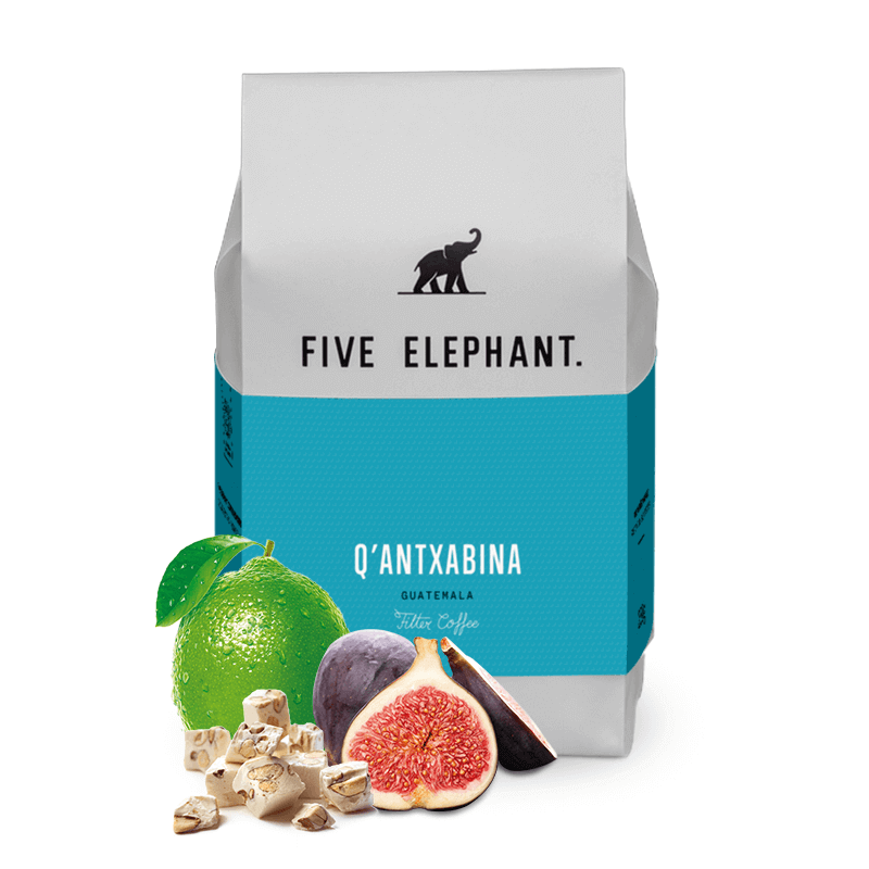 Specialty coffee Five Elephant Guatemala Q´ANTXABINA