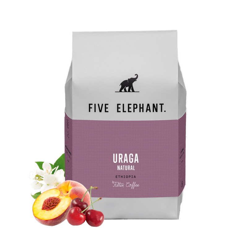 Specialty coffee Five Elephant Etiopie URAGA