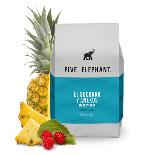 Specialty coffee Five Elephant Guatemala EL SOCORRO Y ANEXOS (MARACATURRA)