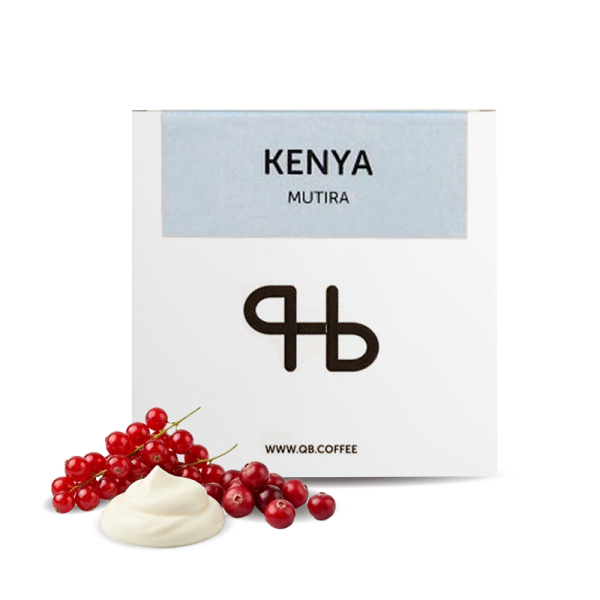 Specialty coffee QB coffee roasters Kenya MUTIRA