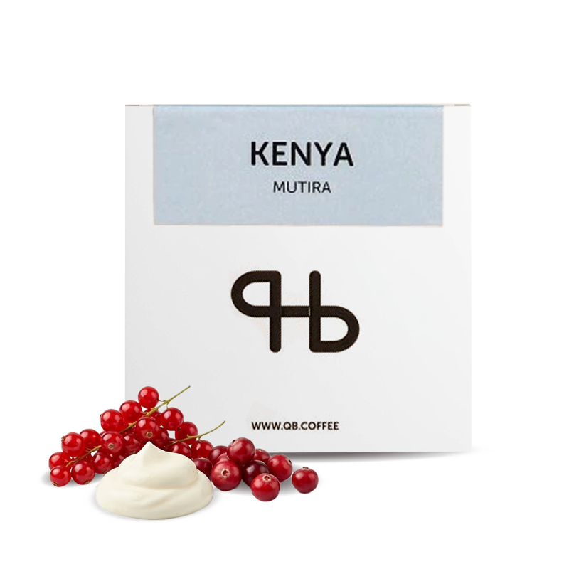 Specialty coffee QB coffee roasters Kenya MUTIRA