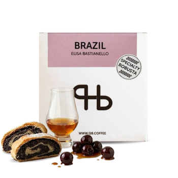 Brazil ELISA BASTIANELLO - Premium Robusta - QB coffee roasters