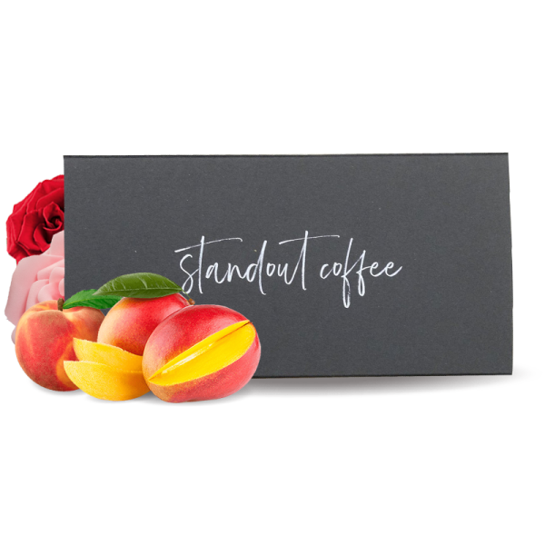 Specialty coffee Standout Coffee Colombia JAIRO LOPEZ - Honey Gesha 2x50g