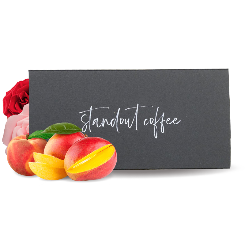 Specialty coffee Standout Coffee Colombia JAIRO LOPEZ - Honey Gesha 2x50g