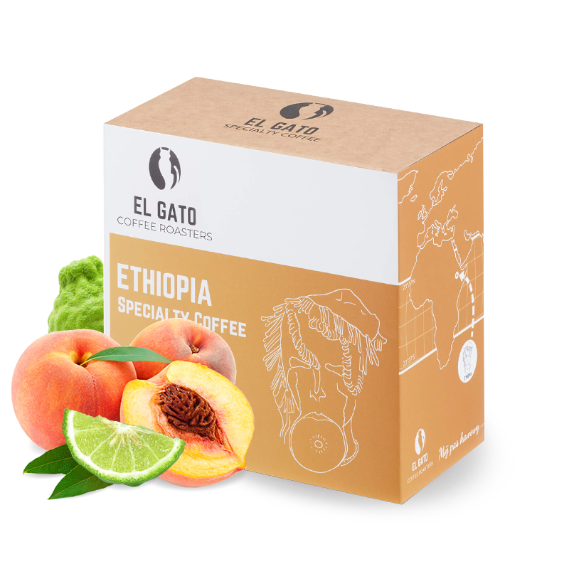 Specialty coffee El Gato Ethiopia BILOYA