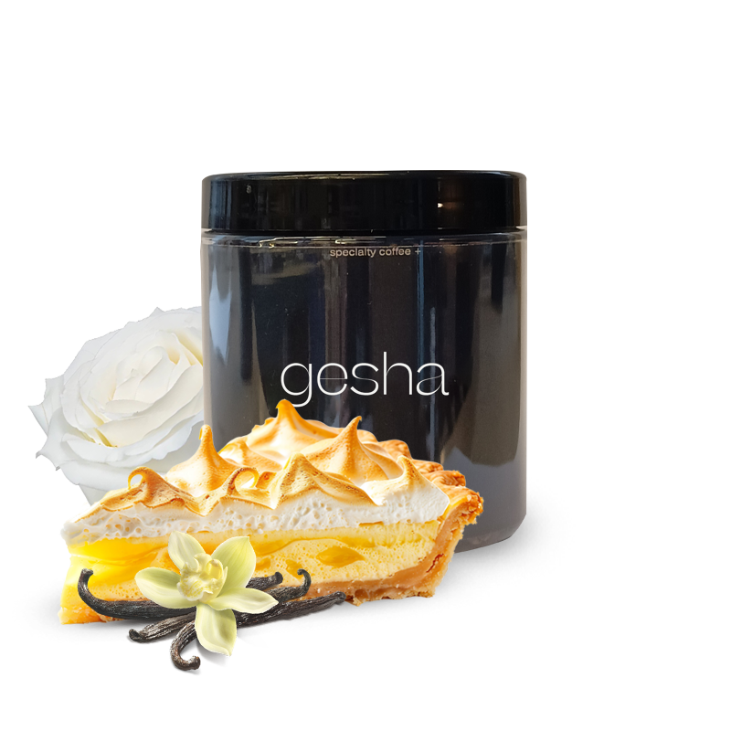 Specialty coffee A Matter of Concrete Colombia LA CUCHILLA - gesha