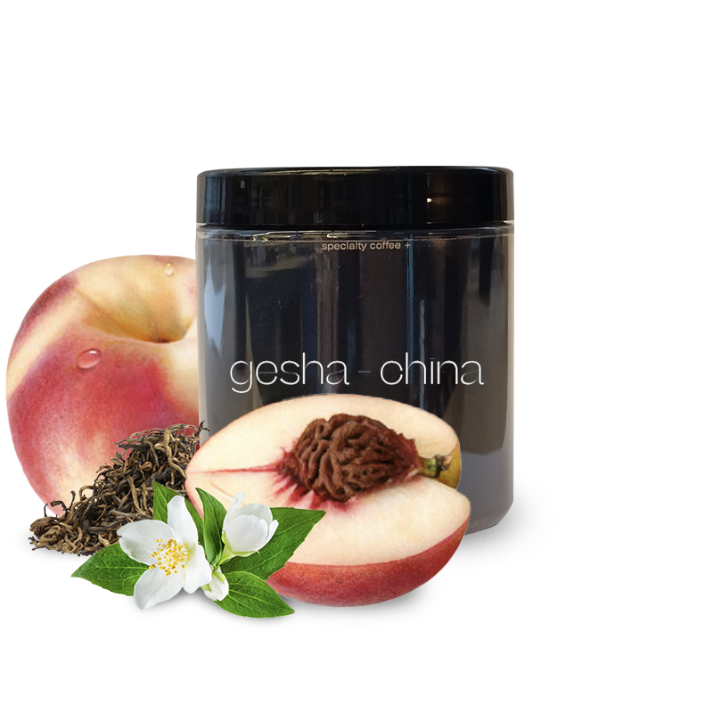 Specialty coffee A Matter of Concrete China YUNNAN - gesha