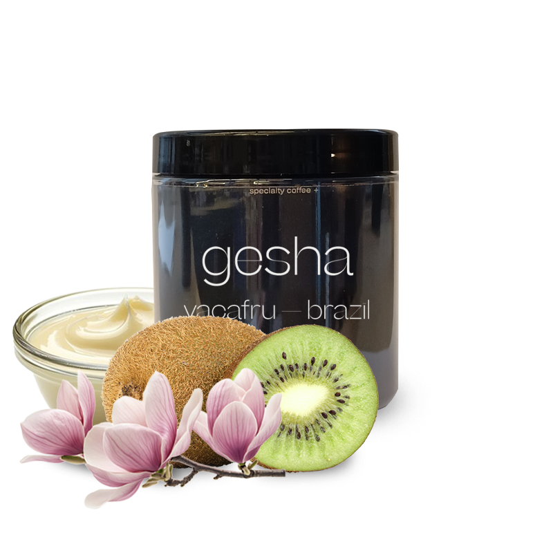Specialty coffee A Matter of Concrete Brazil MÍO VACARFU - Gesha - 100g