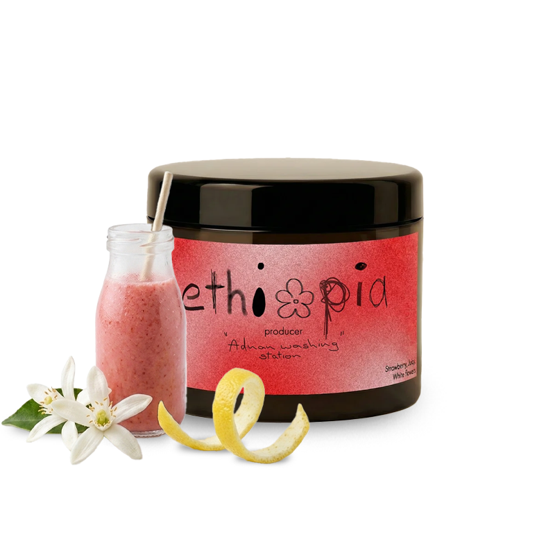 Specialty coffee Ordinary Coffee Roasters Ethiopia SIDAMA NATURAL