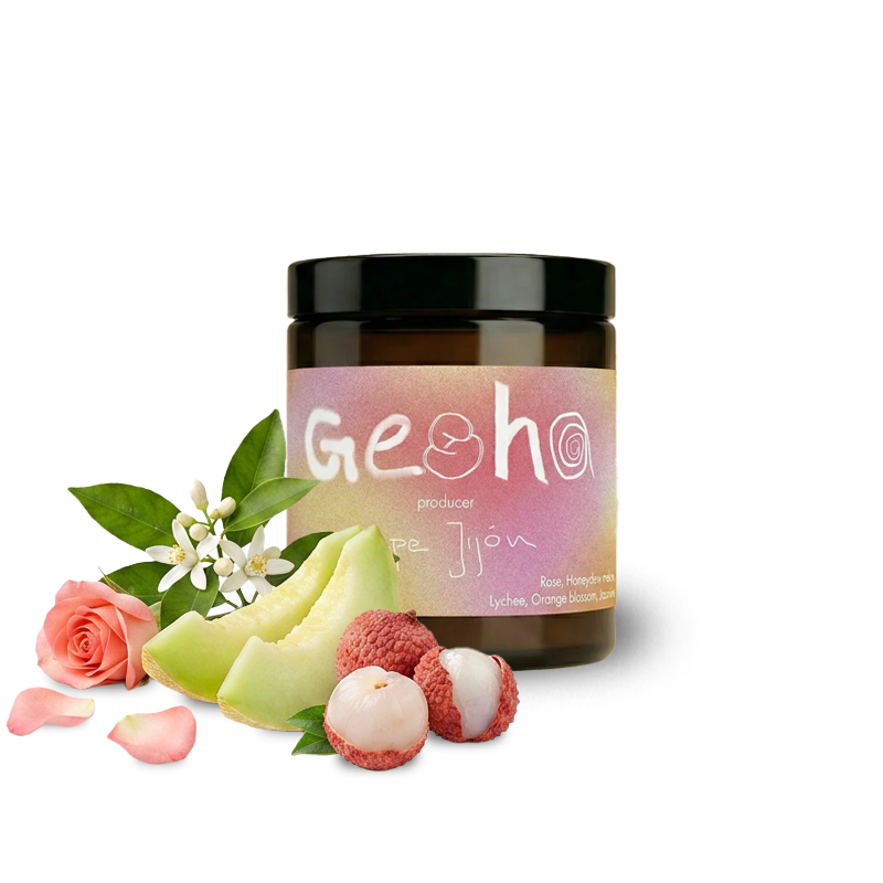 Specialty coffee Ordinary Coffee Roasters Ecuador WAVE WASHED GESHA - 100g