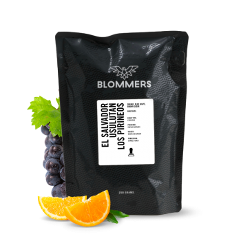 El Salvador LOS PIRINEOS - Blommers Coffee