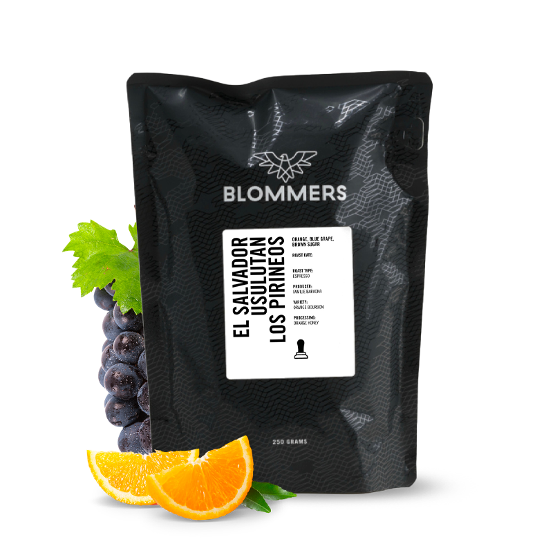 Specialty coffee Blommers Coffee El Salvador LOS PIRINEOS