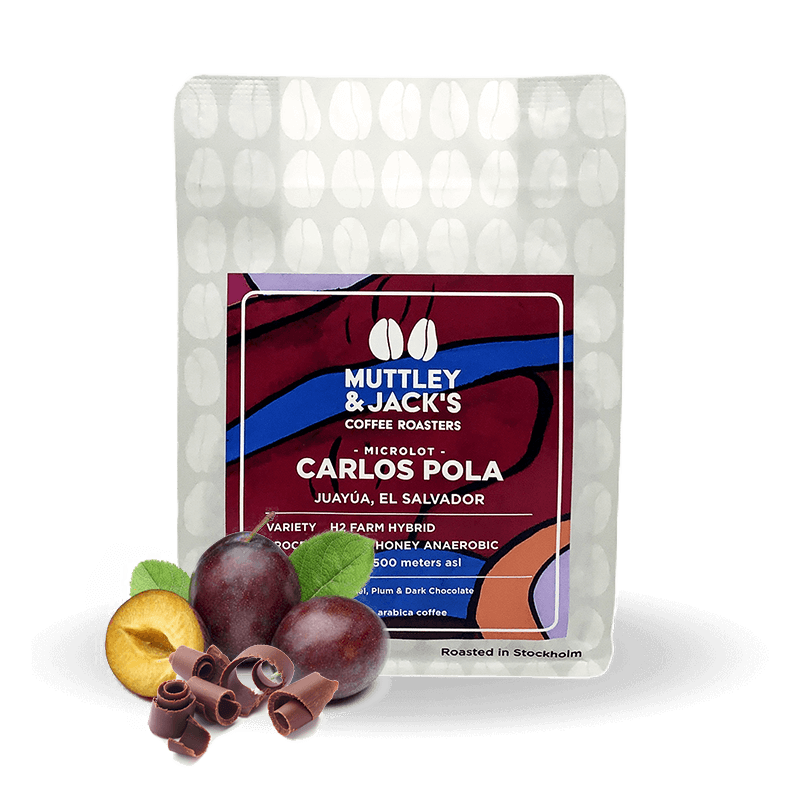 Specialty coffee Muttley & Jack's El Salvador CARLOS POLA anaerobic