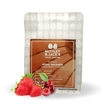 Ethiopia KOKE - Muttley & Jack's
