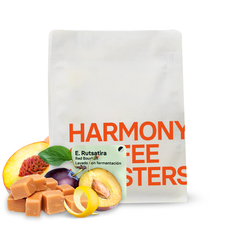 Specialty coffee Harmony Coffee Roasters Rwanda E.RUTSATIRA