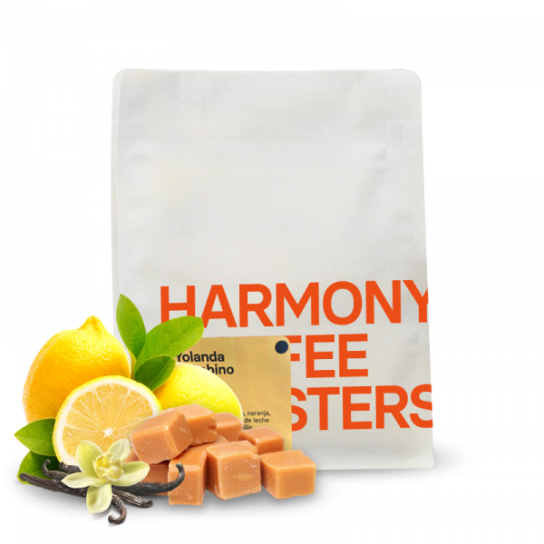 Specialty coffee Harmony Coffee Roasters Mexico YOLANDA & GABINO